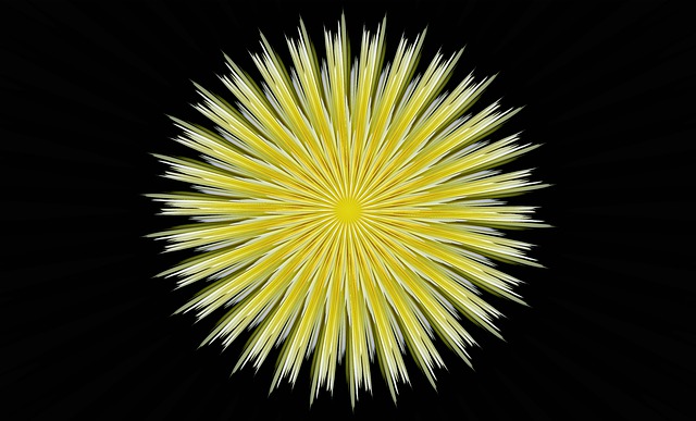 Detail na žltý kvet na čiernom pozadí.jpg